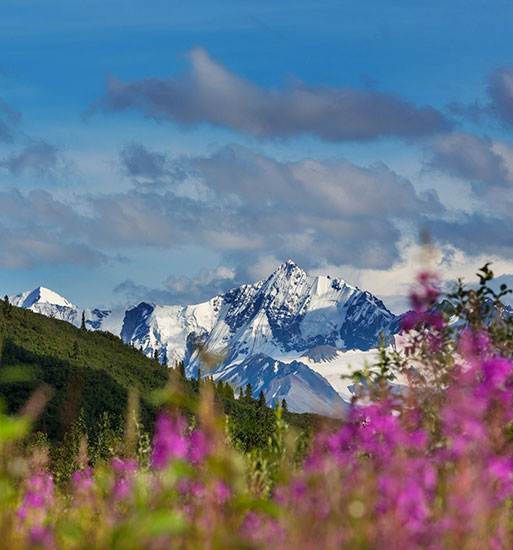 Alaska Mountain beauty