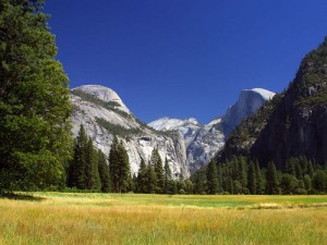 Yosemite Park