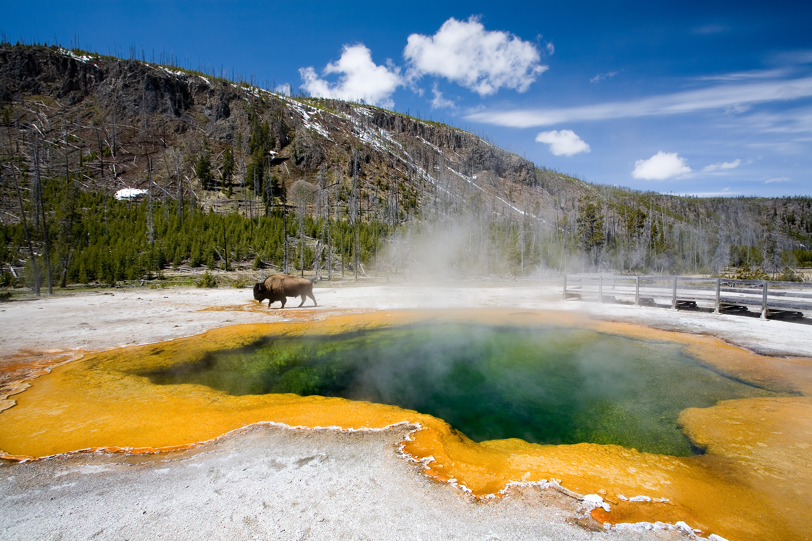 Yellowstone National Park: Yesterday & Today