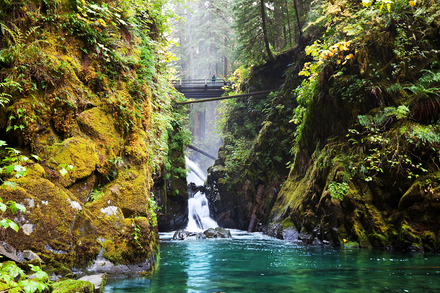 visit sol duc hot springs