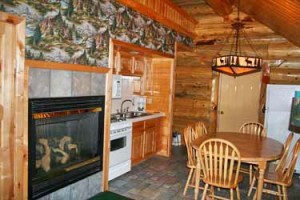 Hibernation Station Cabin