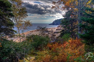 Fall Colors: Acadia National Park