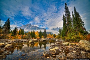 Fall Colors: Grand Teton National Park