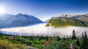 Foggy Valley On Going To The Sun Road